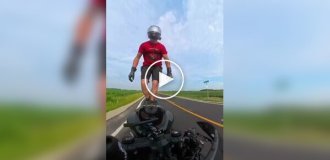 Дурная голова покоя не дает