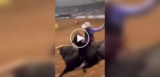 A father saved his son from an angry bull