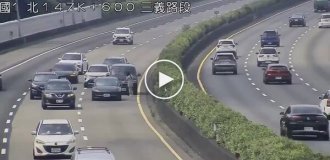 People who like standing on the highway