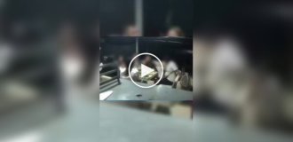 A man rammed his ex-wife and her friends while they were dining at a cafe