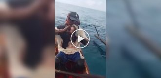 Осьминог вцепился в лицо рыбака