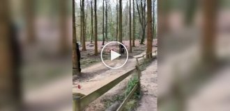 Делай так каждый день и спина не будет