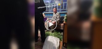 Украинец посадил на участке томаты, а выросли... наркотики