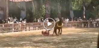 A horse dragged an artist along the ground during a travel show