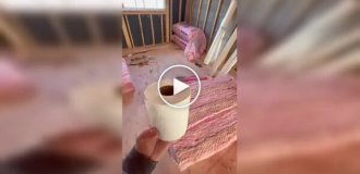 «Строительные» шутки, после которых хочется уволиться