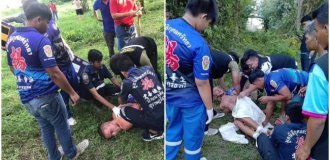 A cow gored a perverted tourist in Thailand (3 photos + 1 video)