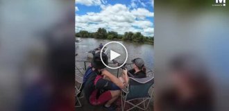 Разъяренный бегемот перевернул лодку с защитником животных в ЮАР