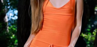 Long-legged Hayley in nature