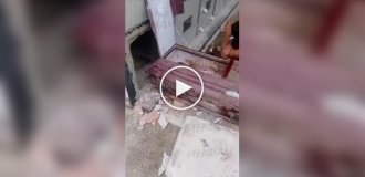 В Колумбии женщина раскопала гроб мужа, чтобы выпить с ним пива