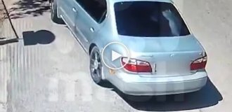 A Russian threw a domestic cat out of a car