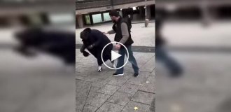 Коли самовпевненість стикається зі справжньою майстерністю