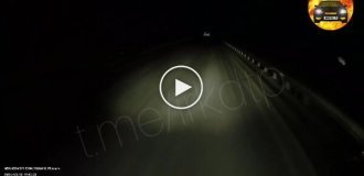 A sudden obstacle on a night road