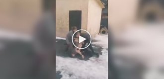 Когда драка выходит из-под контроля: вмешалась даже собака
