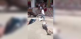В Перу разъяренный бык атаковал мужчину во время фестиваля