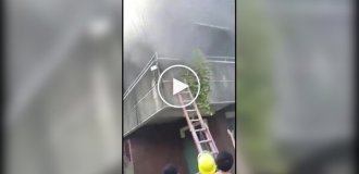 Dramatic rescue of a woman and her dogs during a fire in the Philippines