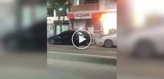 Кабан устроил переполох в турецком городе