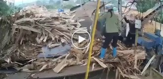 Жуткая трагедия на работе: женщину затянуло в дробилку