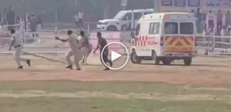 Бик проник на вертолітний майданчик і розігнав співробітників служби безпеки