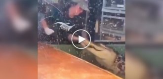During a children's party, an alligator attacked a zoo employee, seriously injuring her arm