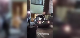 У Нью-Йорку водій кілька разів протаранив синагогу