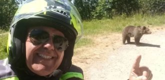 Tourist's Last Selfie with a Teddy Bear (3 photos)