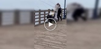 Борьба за улов: рыбаки устроили драку на пирсе