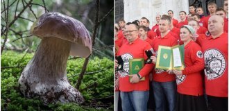 Orthodox activists complained to the prosecutor's office about mushroom sculptures in Komi (2 photos + 1 video)