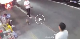 Кошка неожиданно напала на пса и его хозяина
