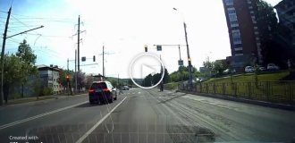 BMW driver crushes ducklings crossing the road at a pedestrian crossing