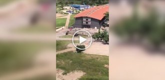 In Brazil, a helicopter crashed immediately after takeoff; everyone on board survived.