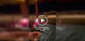 Romantic dinner on safari: a zebra added "energy" to the atmosphere