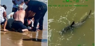 Sharks attacked people near the beach in Texas and Florida (3 photos + 2 videos)