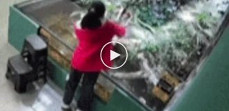 In China, a crocodile bit a girl on the arm