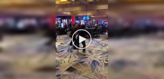 Безумие Лас-Вегаса: охранник схватил не того