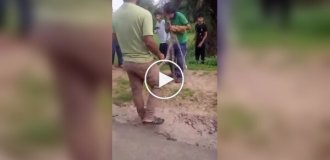 Напад великої змії на чоловіка потрапив на відео