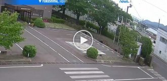 Напад ведмедя в житловому районі Японії: четверо людей отримали поранення