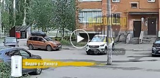 In Bashkiria, a young driver was distracted by his phone and crashed into a pole in the yard