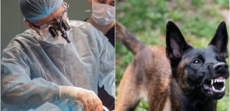 In Russia, an operation was carried out to save the face of a child mutilated by a dog (5 photos)