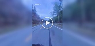 Moto Hunt