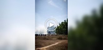 В Индии слон за 10 дней убил более двух десятков человек