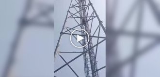 Работник сорвался с вышки связи в Индии и пролетел вниз по лестнице