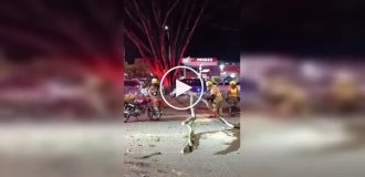 A simple tree felling resulted in bruises for a firefighter