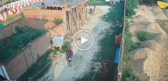 Индийские бракоделы