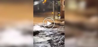 Бразильцы сняли плывущие по улицам города гробы