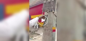 There is a living electrician, and there is an immortal electrician in India