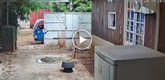 Paraguayan's last day at work