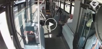 Deer crashed through bus windshield