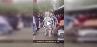 In Rotterdam, young people harassed a woman with a dog stroller