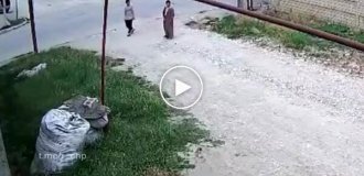 Кінь збив чоловіка зі скутера