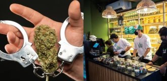 The experiment failed: in Thailand cannabis will be put back on the list of prohibited substances (4 photos)